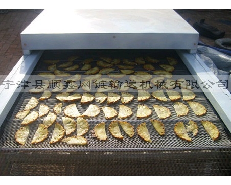 广州网带食品输送机