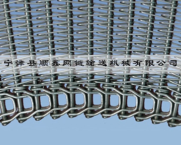 广州冷冻传送式螺旋网带