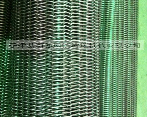 广州高温不锈钢直轴型网带