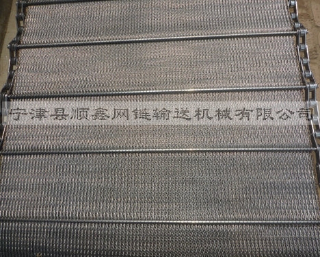 广州人字型链条网带