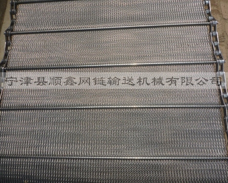 广州人字型链条网带